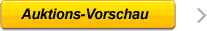 Auktions Vorschau
