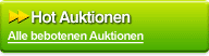 Hot Auktionen: Alle Auktionen mit Geboten